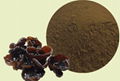 Auricularia Auricula Extract