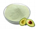 Avocado Juice Powder