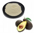 Avocado Soybean Unsaponifiables 1