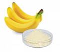 Banana Extract Banana powder