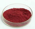 Bilberry Extract 2