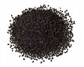 Black Cumin Extract 1