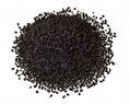 Black Cumin Extract