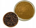 Black Pepper Extract