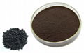 Black Sesame Extract