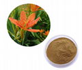 Blackberrylily Rhizome Extract