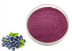 Blueberry Extract Blueberry Powder