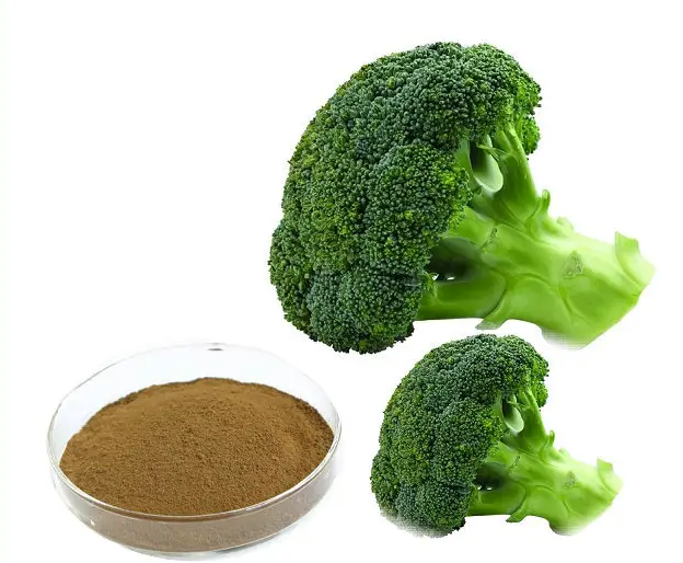 Broccoli Extract cas21414415 Changsha Staherb (China