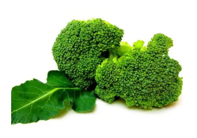 Broccoli Extract 2