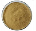 Brown Seaweed Extract 1