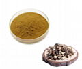 Bupleurum Extract 1