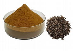 Burdock Seed Extract