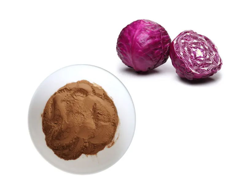 Cabbage Extract Changsha Staherb (China Manufacturer