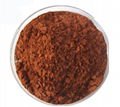 Cacao husk pigment
