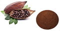 Cacao Seed Extract