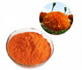 Calendula Flower Extract Calendula Officinalis Extract