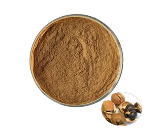 Camelia Oleifera Extract