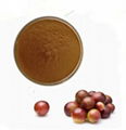 Camu Extract