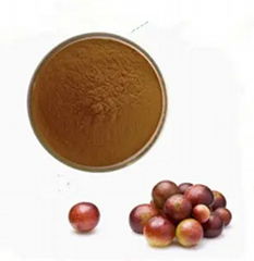 Camu Extract