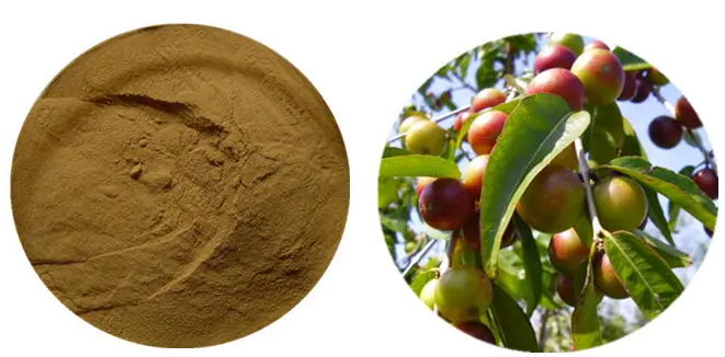 Camu Extract 3