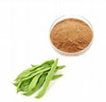 Canavalia gladiata (Jacq.) DC.Knife bean extract 1