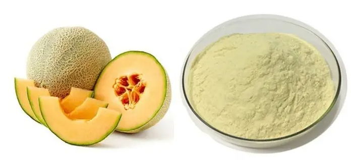 Cantaloupe Fruit Powder