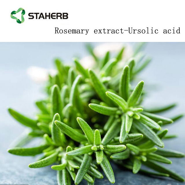 Rosemary Extract powder Carnosic acid powder 3