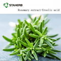 Rosemary Extract powder Carnosic acid powder