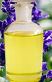 Carnosic Acid Liquid Oil Chamomile Extract