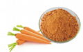 Carrot Juice Powder 1