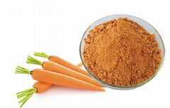 Carrot Juice Powder