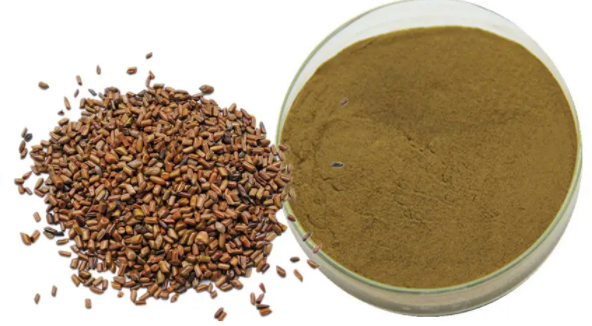Cassia nomame Extract Chia Seed Extract