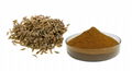 Celery Seed Extract