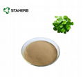 Centella Extract 1