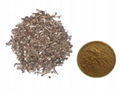 Chenopodium Ambrosioides Extract Clove