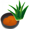 Free sample Aloe Vera extract Powder