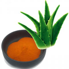 Free sample Aloe Vera extract Powder Aloe vera extract Colorant additive Emodin