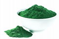 Chlorella powder