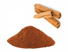 Cinnamon Bark Extract