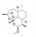 D-Pinitol 1