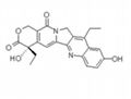 7-乙基-10-羟基喜树碱 1