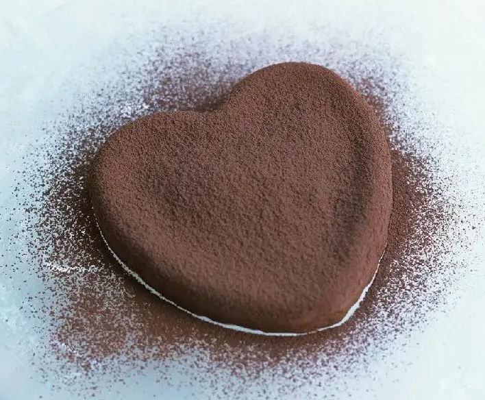 Cocoa Extract cocoa powder