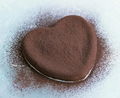 Cocoa Extract cocoa powder 1
