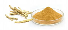 Codonopsis Extract