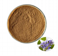 Coleus forskohlii Extract