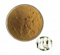 Coprinus Extract