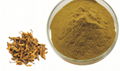 Coptis Root Extract 2