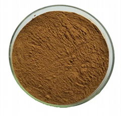 Cordyceps Extract