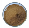 Cordyceps Powder 1