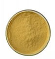 Coriandrum Sativum Extract 1